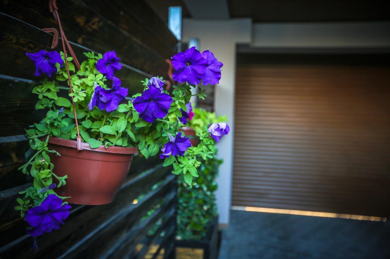 Armada Villa Hotel Zabrat 외부 사진